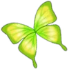 🦋