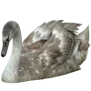🦢