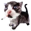 🚬