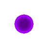 🟣