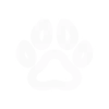 🦴
