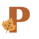 🍁