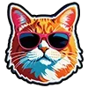 😼