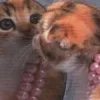 🎀