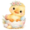 🐥