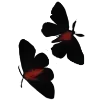 🦋