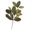 🌱