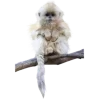🐒