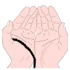🤲