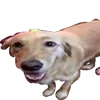 🙂