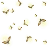 ⭐