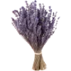 🌱