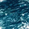 🌊