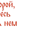🧅