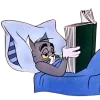 📖