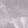 😂