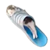 🩴