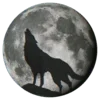 🐺