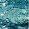 🌊