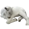 🐑