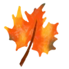 🍁