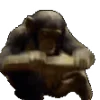 🐒