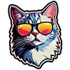 😼