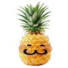 🍍