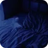 🛋