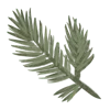 🌲