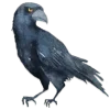 🪄