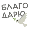 🕊️