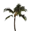 🌴