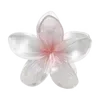 🌸