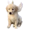 🐶
