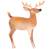 🦌