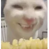🤩