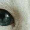🤩
