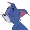 😴