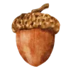 🤎