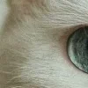 🤩