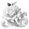 🌹