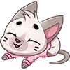 😼