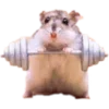 🐹