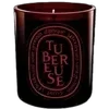 🕯️