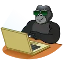 🧑‍💻