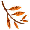 🍂