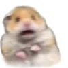 🐹