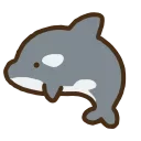 🦈