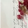 🤩